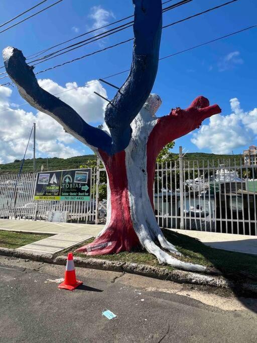 Casa Rosado Villa Marina Fajardo Yunque Seven Seas 外观 照片